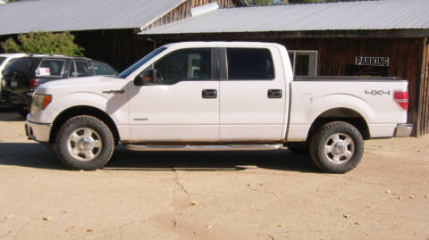 2013 Ford F-150 for sale at Spear Auto in Wadena MN