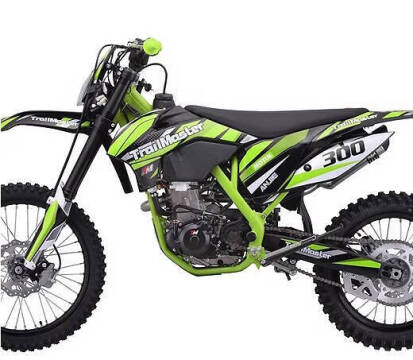 2026 TrailMaster TM38E