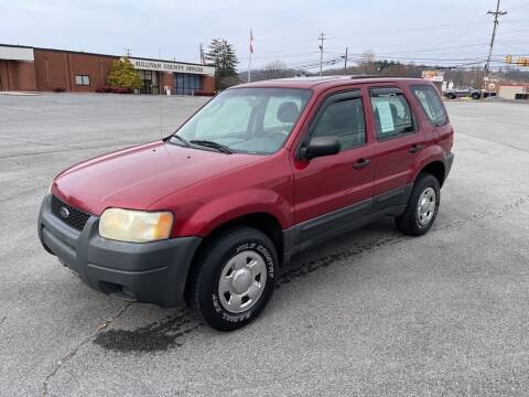 2004 Ford Escape for sale at Carl's Auto Incorporated in Blountville TN