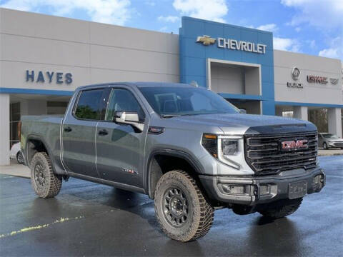 2024 GMC Sierra 1500 for sale at HAYES CHEVROLET Buick GMC Cadillac Inc in Alto GA