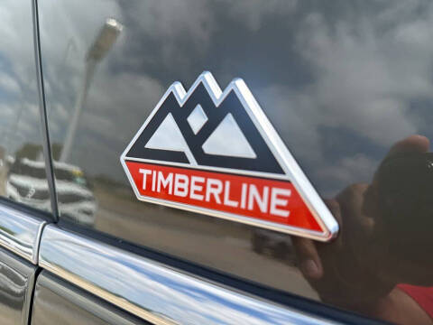 2024 Ford Expedition Timberline