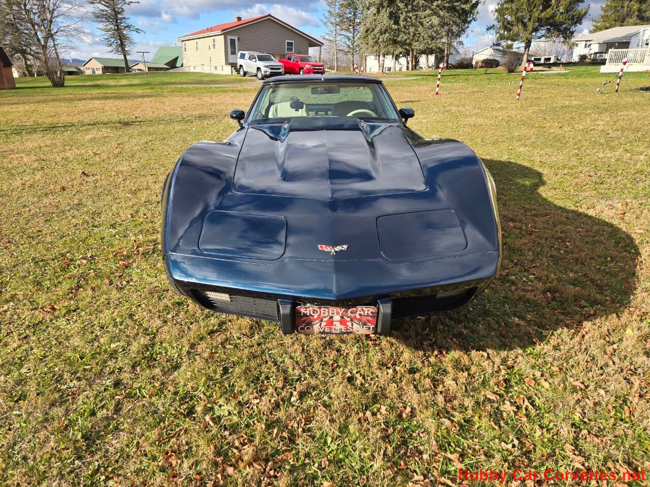 1979 Chevrolet Corvette 8