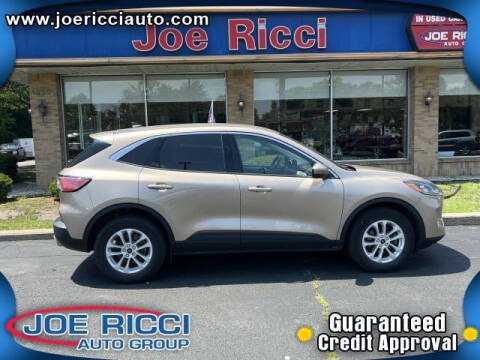 2020 Ford Escape for sale at Bankruptcy Auto Loans Now in Madison Heights MI