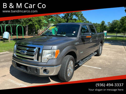 2012 Ford F-150 for sale at B & M Car Co in Conroe TX