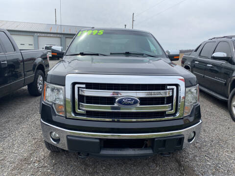 2013 Ford F-150 for sale at 309 Auto Sales LLC in Ada OH