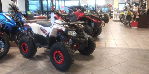 2020 Ace Powersports Inc T125