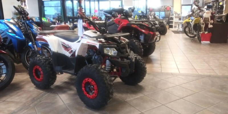 2020 Ace Powersports Inc T125