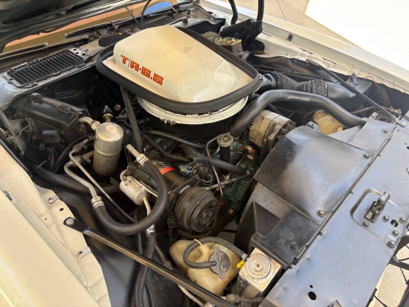 1979 Pontiac Firebird