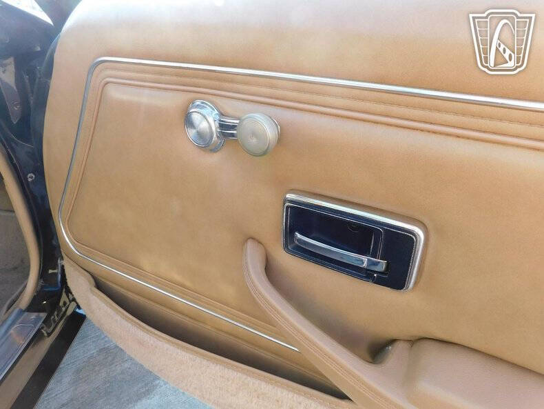 1981 Pontiac Firebird Trans Am