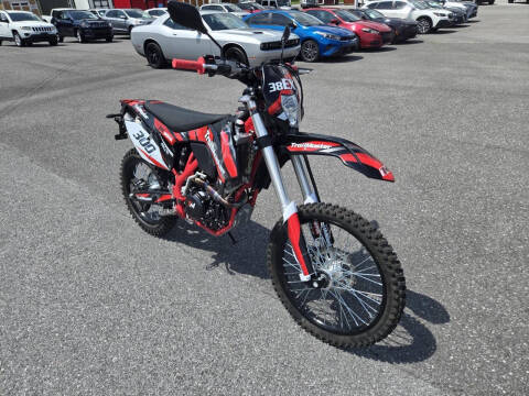 2024 TrailMaster TM 38EX-300