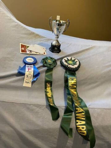 1962 Rolls-Royce Silver Dawn II