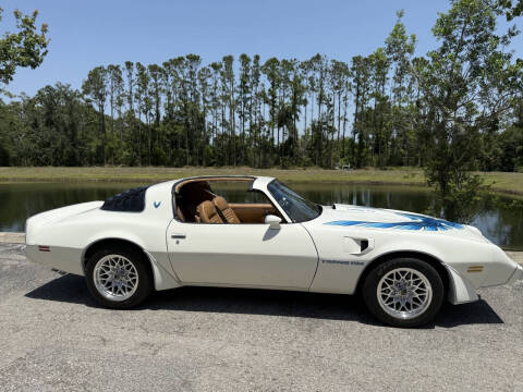 1981 Pontiac Firebird Trans Am