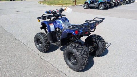 2026 TrailMaster B125