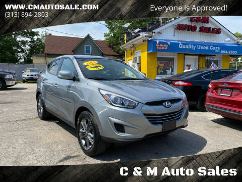 2015 Hyundai Tucson for sale at C & M Auto Sales in Detroit MI