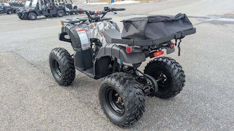 2025 TrailMaster 200 Utility