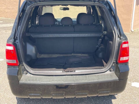 2009 Ford Escape XLT