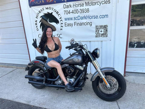 2014 Harley-Davidson FLS103 -