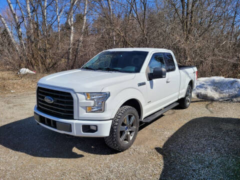 2015 Ford F-150 for sale at Clare Auto Sales, Inc. in Clare MI
