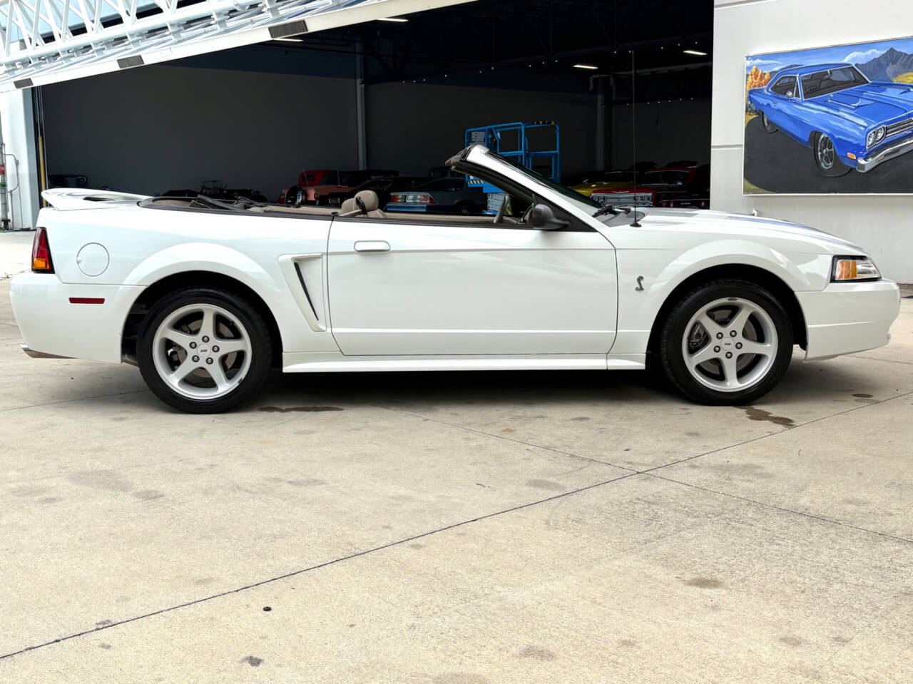 1999 Ford Mustang SVT Cobra 5