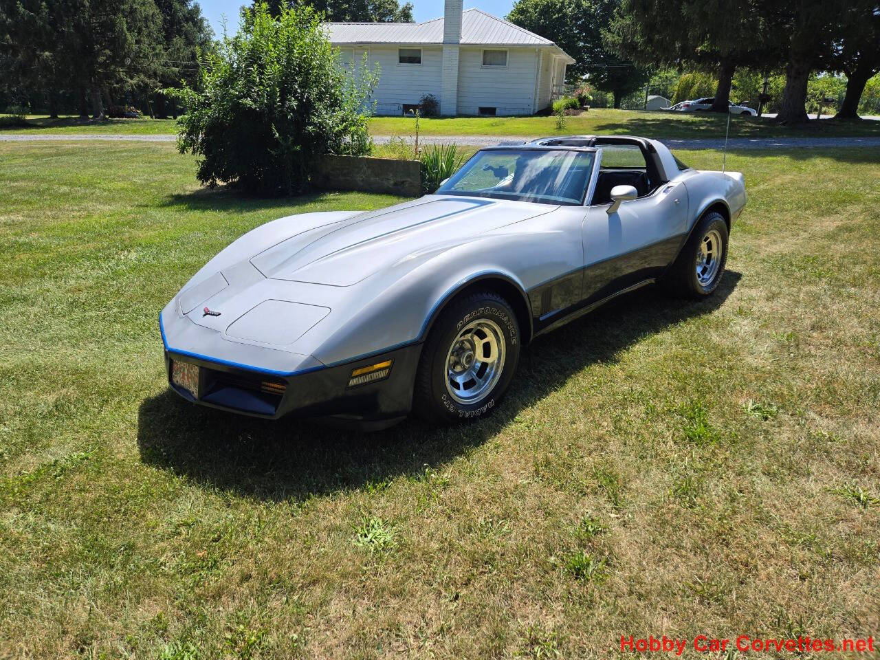 1981 Chevrolet Corvette 1