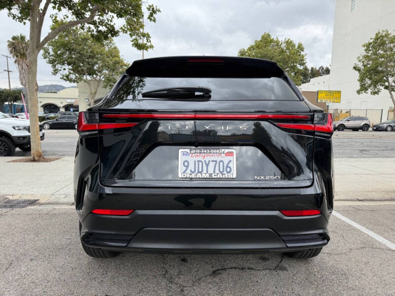 2024 Lexus NX 250