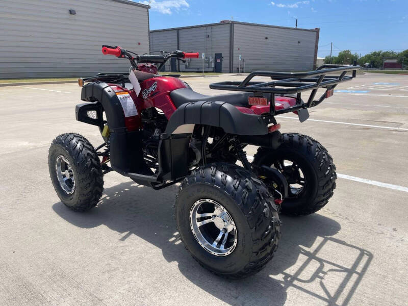 2024 Vitacci Cougar UT 200cc