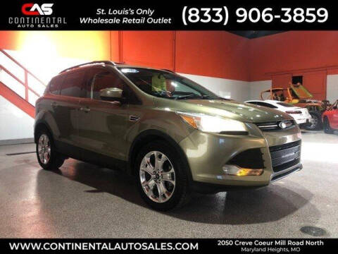 2013 Ford Escape for sale at Fenton Auto Sales in Maryland Heights MO