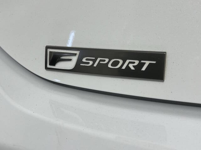 2020 Lexus ES 350 F SPORT