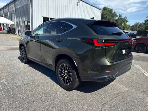 2025 Lexus NX 250
