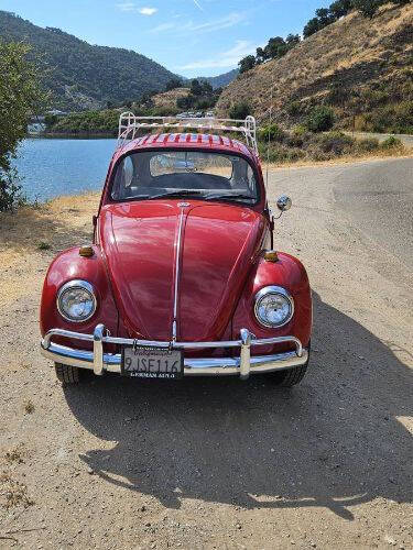 1967 Volkswagen Beetle
