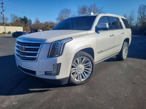 2016 Cadillac Escalade for sale at Cruisin' Auto Sales in Madison IN