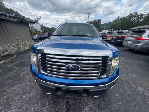 2011 Ford F-150