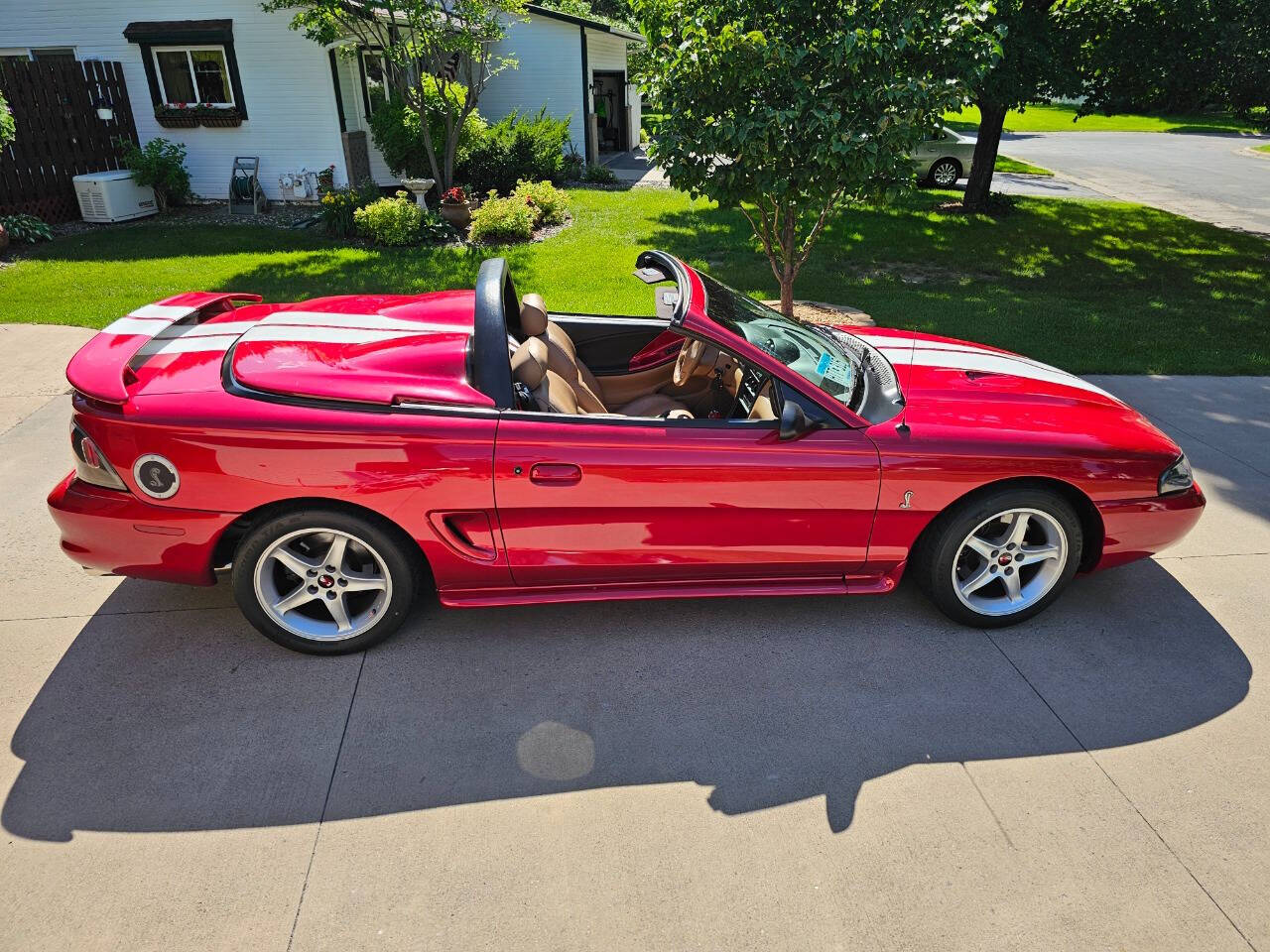 1996 Ford Mustang SVT Cobra 15