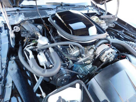 1978 Pontiac Firebird Trans Am