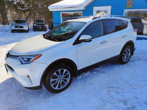 2017 Toyota RAV4 for sale at Michigan Auto Sales in Kalamazoo MI