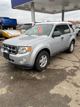 2012 Ford Escape for sale at Auto Site Inc in Ravenna OH