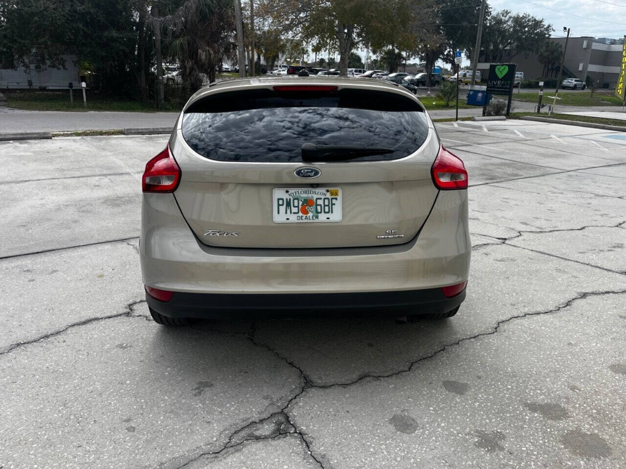 2015 Ford Focus for sale at Bearmotive, Inc. in Hudson, FL