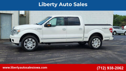 2014 Ford F-150 for sale at Liberty Auto Sales in Merrill IA