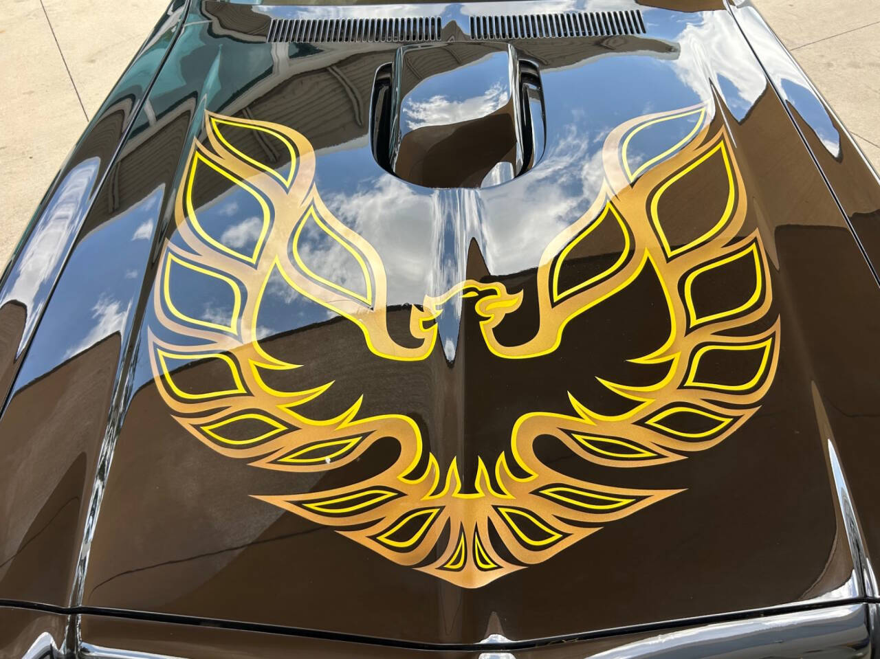 1976 Pontiac Firebird 22