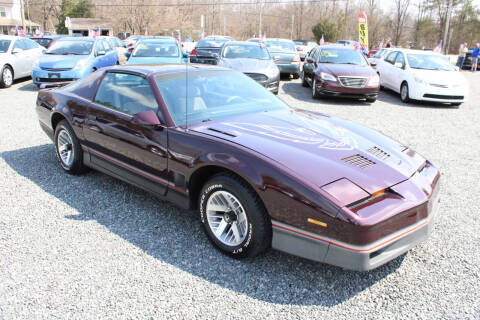 1985 Pontiac Firebird Trans Am