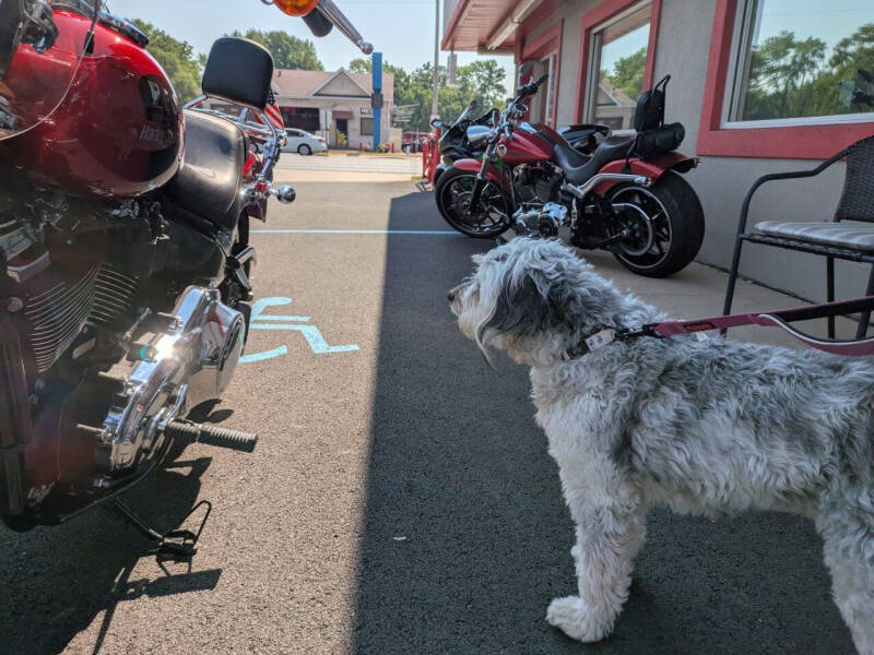 2018 Harley-Davidson SOFTAIL LOW RIDER