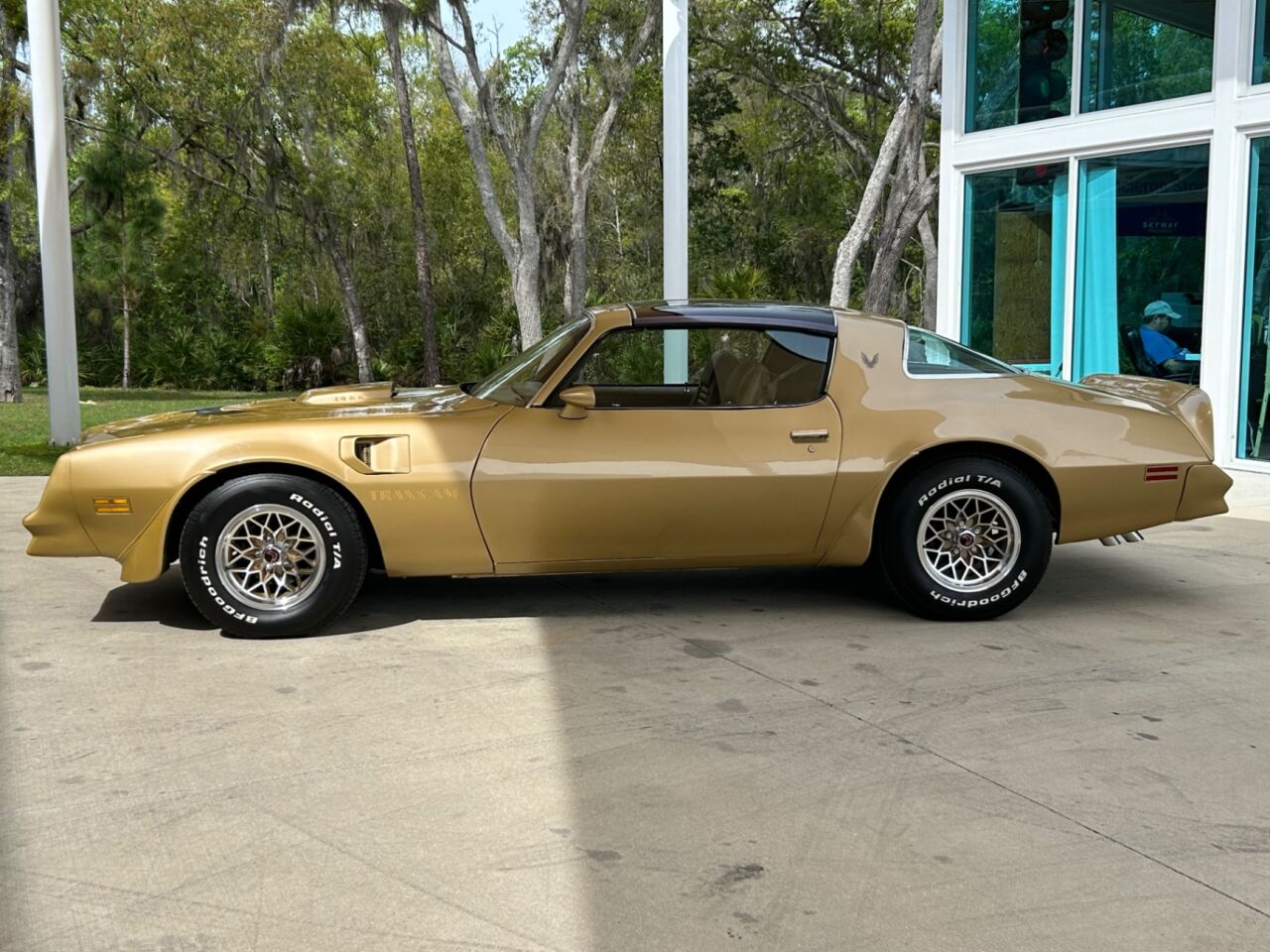 1978 Pontiac Firebird 11