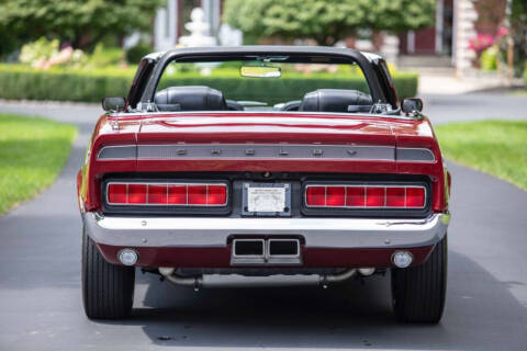 1969 Ford Shelby GT500