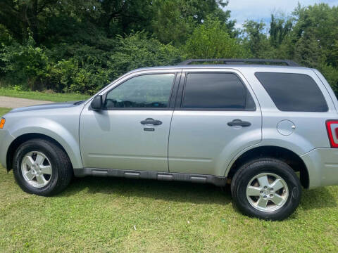 2011 Ford Escape XLT