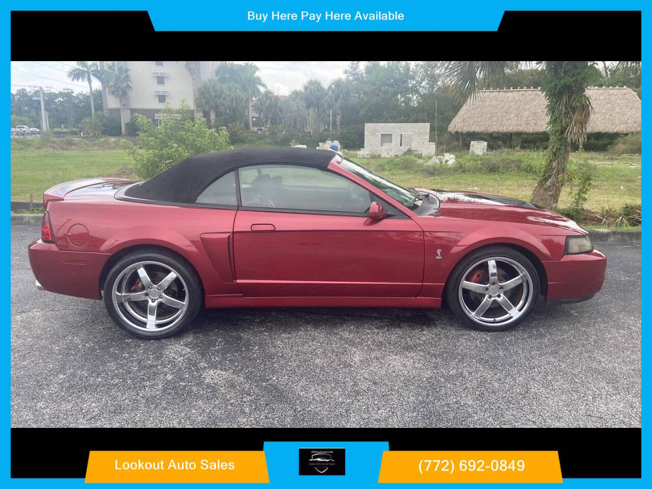 2003 Ford Mustang SVT Cobra for sale at Lookout Auto Sales in Stuart, FL