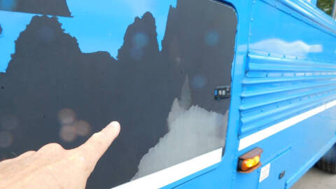 2015 Blue Bird Vision