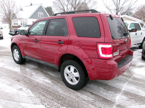 2010 Ford Escape XLT
