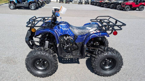 2026 TrailMaster B125