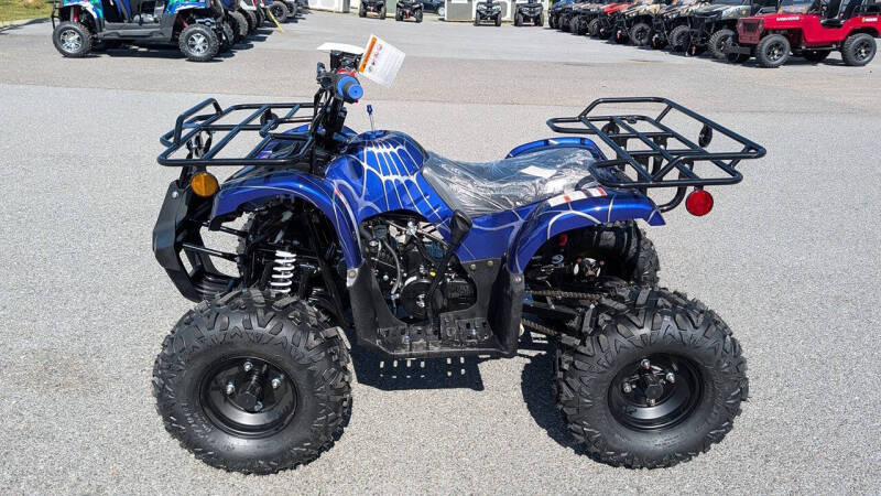 2026 TrailMaster B125
