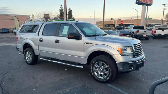 2010 Ford F-150 for sale at Auto Plaza in Fresno, CA